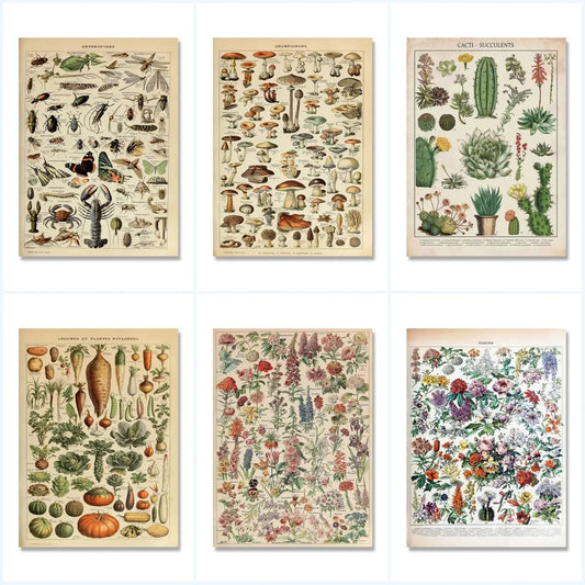 Vintage Adolphe Millot Encyclopedia Posters – Botanical & Natural History Canvas Wall Art Prints